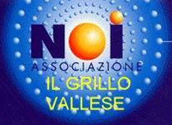 Logo Noi il Grillo Vallese